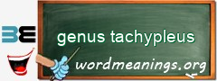 WordMeaning blackboard for genus tachypleus